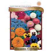 Набор Память Сердца для солнца /НК Профи/