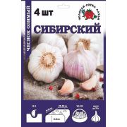 Чеснок Сибирский озимый /4шт/ /СОТКА/ /цена за 1упак/